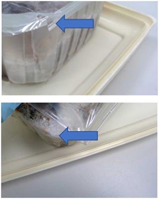 An investigation of the presence and antimicrobial susceptibility of Enterobacteriaceae in raw and cooked kibble diets for dogs in the United Kingdom